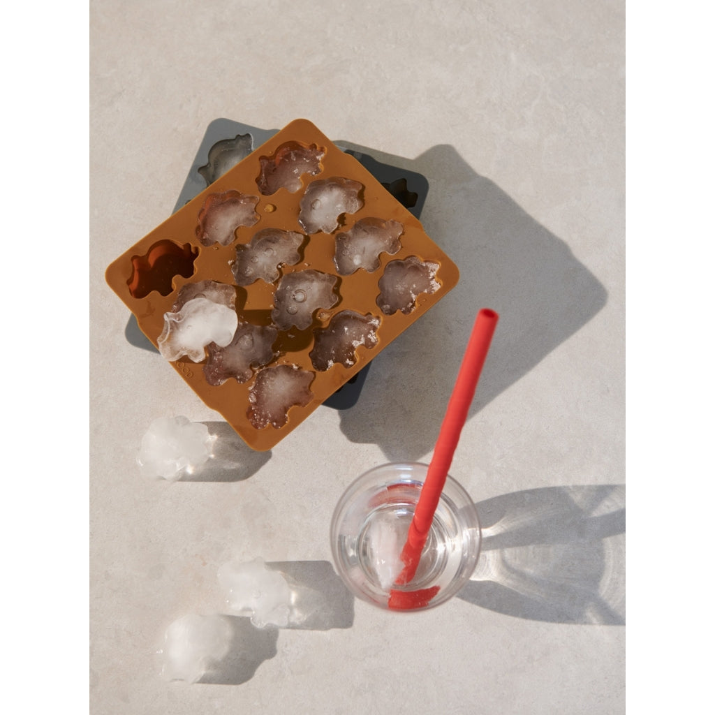 Eiswürfel Form Tablett 2er Pack, verschiedene Sets