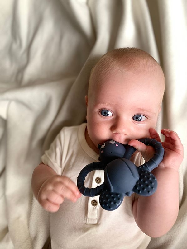 Baby Beißring Naturkautschuk, Felix the Fly, blau