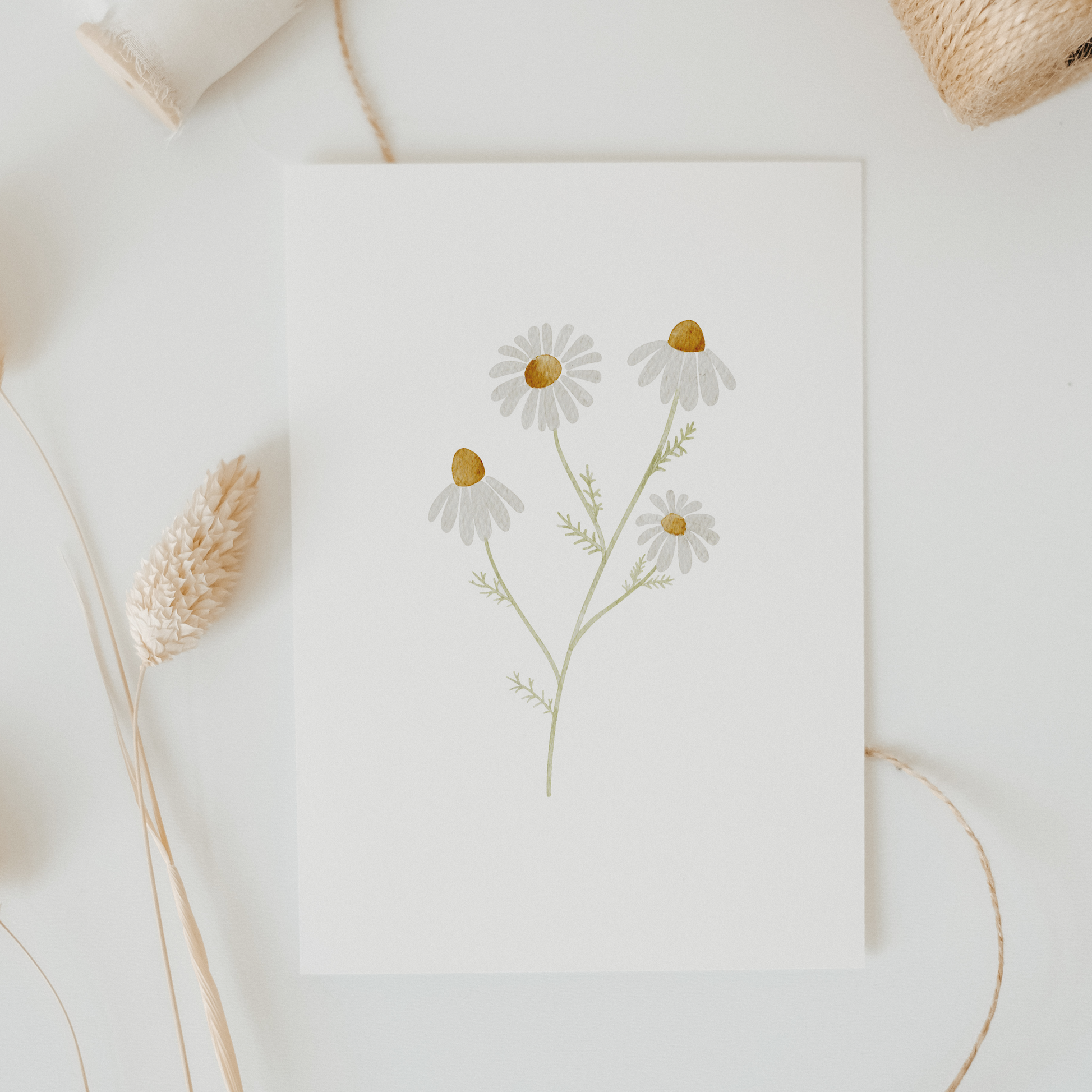 Postkarte Kamille